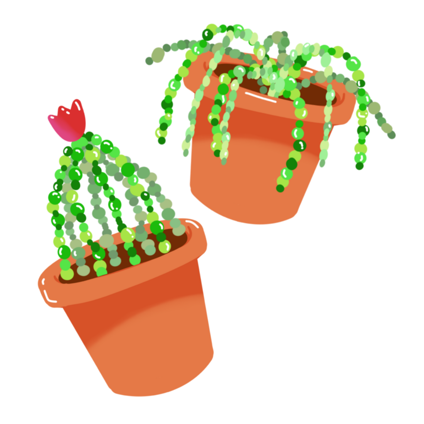 DIY KIT- Beaded Plant
